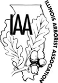 IAA